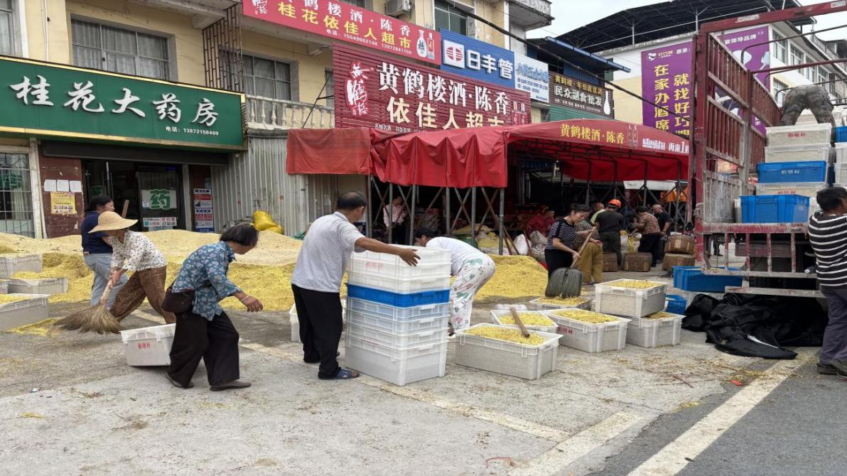 金秋咸寧桂花香 “鏈”起產業新篇章1.png